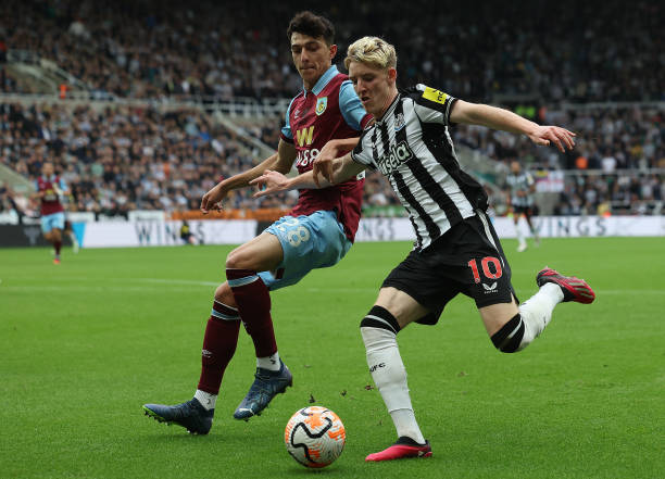 披萨与团队 披萨与团队