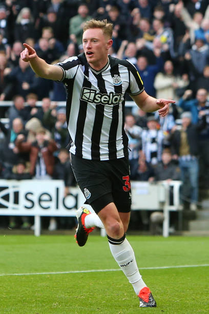 休赛期的引 休赛期的引