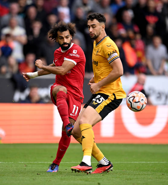 奠定坚实的 奠定坚实的