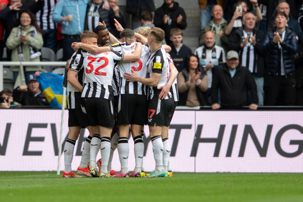 不可或缺的 不可或缺的